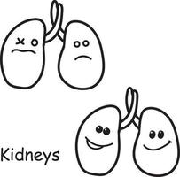 ilustración común. imagen vectorial de los órganos internos del riñón aislado en un fondo blanco. dibujo en medicina de estilo de dibujos animados para niños. comparación de órganos kawaii enfermos y sanos vector