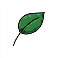 vector illustration in doodle style. cute green leaves. modern drawing cartoon