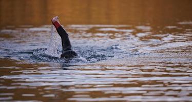 triathlon athlete swimming on lake in sunrise  wearing wetsuit photo