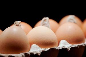 Eggs close up in egg protective container on black background. Foreground and background in blur. Focus in the center. photo