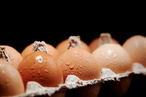 Wet eggs in a protective container on black background. Foreground and background in blur. photo
