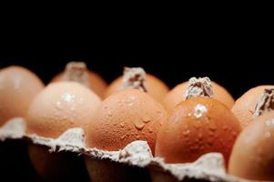 Eggs covered with water drops close up in egg protective container on black background. Foreground and background in blur. Focus in the center. photo