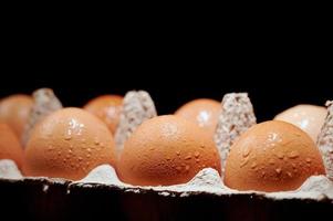 Eggs covered with water drops in a protective container on black background. photo