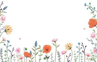 Wild Herbs. Wildflowers in Summer. Vector Color Flowers Clipart