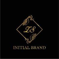 initial ZS handwritten luxury letter template vector