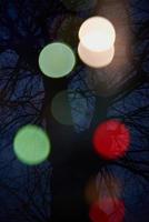 abstract tree with lights and double exposure photo