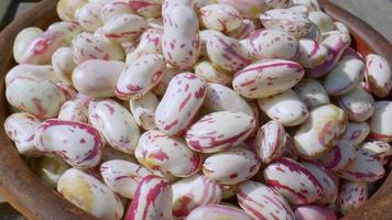 A close-up view of Kidney beans. video