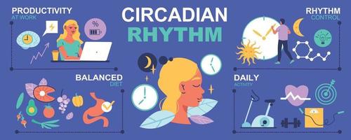 Circadian Rhythm Infographics vector