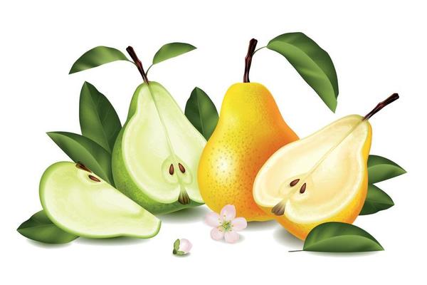 Realistic Pear Composition
