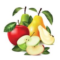 Colored Realistic Pear Apple Composition vector