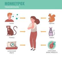 Monkeypox Transmission Infographics vector