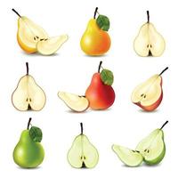 Realistic Pear Big Icon Set vector