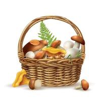 Mushrooms Basket Realistic Concept vector