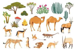 conjunto de dibujos animados de flora y fauna del desierto