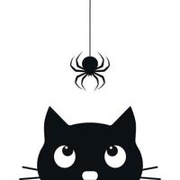 Illustration of a black cat looking at a hanging spider vector