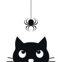 Illustration of a black cat looking at a hanging spider vector