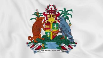 national emblem coat of arms or symbol of Grenada in waving flag. smooth 4k video seemless loop