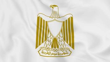 emblema nacional escudo de armas o símbolo de egipto en bandera ondeante. Bucle suave de video 4k sin problemas