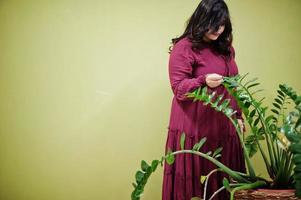 atractiva mujer del sur de Asia con un vestido de color rojo intenso posó en el estudio sobre un fondo verde con vegetación. foto