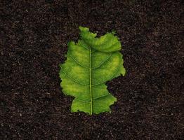 Germany map made of green leaves on soil background ecology concept photo