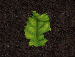 mapa de alemania hecho de hojas verdes sobre el concepto de ecología de fondo del suelo foto