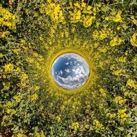 inversion of Little planet transformation of spherical panorama 360 degrees. Spherical abstract aerial view in field with awesome beautiful clouds. Curvature of space. photo