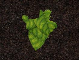 Burundi map made of green leaves on soil background ecology concept photo