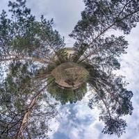 Little planet transformation of spherical panorama 360 degrees. Spherical abstract aerial view in forest. Curvature of space. photo