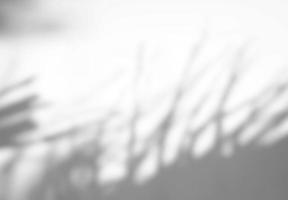 Abstract leaves natural shadow overlay on white texture background, for overlay on product presentation, backdrop and mockup photo