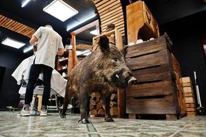 un joven barbudo que se corta el pelo con un peluquero mientras se sienta en una silla en la barbería. alma de barbero. foto