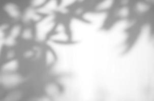 Abstract leaves natural shadow overlay on white texture background with copy space, for overlay on product presentation, backdrop and mockup photo