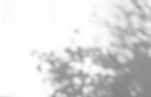 Leaves natural shadow overlay on white texture background, for overlay on product presentation, backdrop and mockup, summer seasonal concept photo
