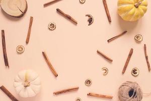 Flat lay style of autumn and thanksgiving concept with pumpkins and cinnamon sticks on pastel color and copy space, top view photo