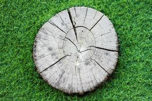 old and dry tree stump textures, surface of cross section of tree with scratches and cracks and hole. photo