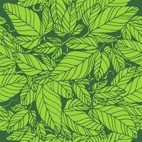 Seamless pattern decorative ivy branches with leaves. Vector illustration