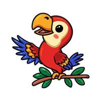 Cute little parrot cartoon on tree branch vector