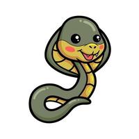 Cute little cobra snake cartoon vector