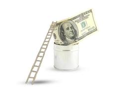 dollars with a ladder on white background photo