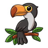 Cute little toucan bird cartoon on tree branch vector