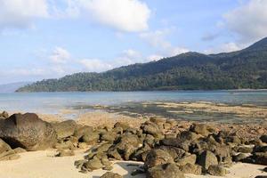 Corals in shallow waters during low tide photo