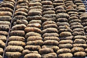 Drying Sea Cucumber Outdoor photo