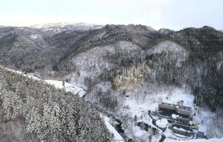 casas cubiertas de nieve foto