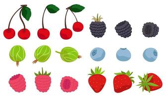 Set of different berries. Natural food in cartoon style. vector