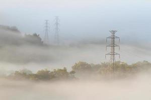 Electrical power lines and pylons emerging from the mist photo