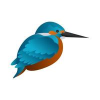 gradient kingfisher bird vector illustration