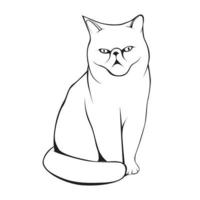 cat vector line art