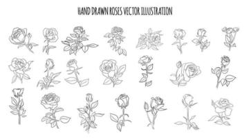 black and white line hand drawn roses flower vector bundle set