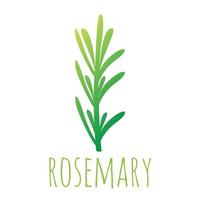 green rosemary leaf vector illustration