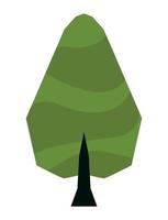 green pine tree vector