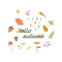 Autumn set. Drawn leaves, acorns, berries. Autumn theme for postcards, posters, advertising. vector